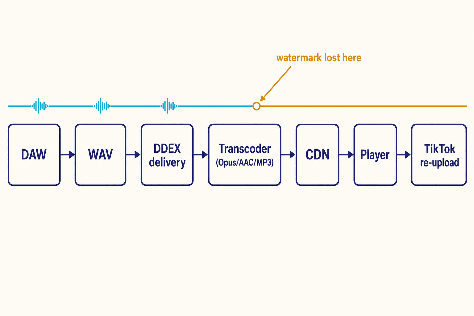 A pipeline diagram showing a watermark intact through DAW, WAV and DDEX, then lost at the Opus/AAC/MP3 transcoder.